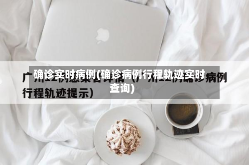 确诊实时病例(确诊病例行程轨迹实时查询)