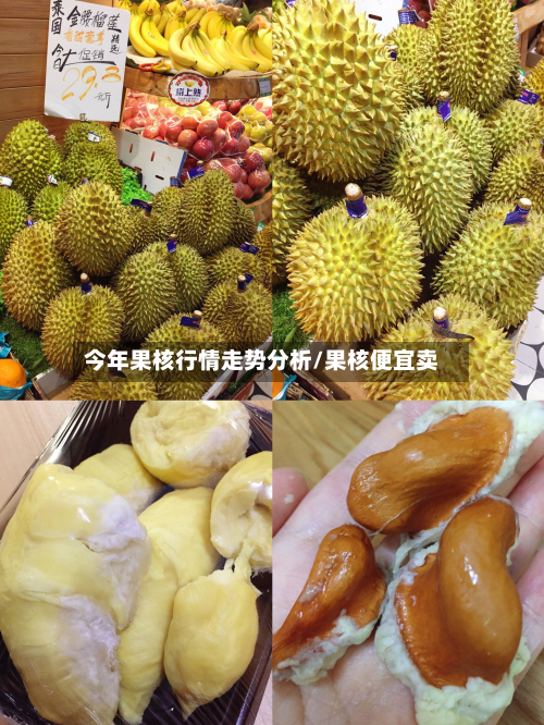 今年果核行情走势分析/果核便宜卖