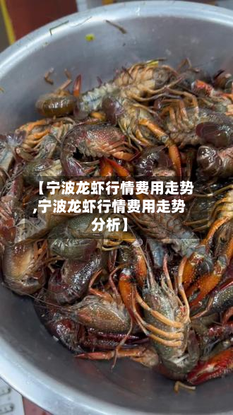 【宁波龙虾行情费用走势,宁波龙虾行情费用走势分析】