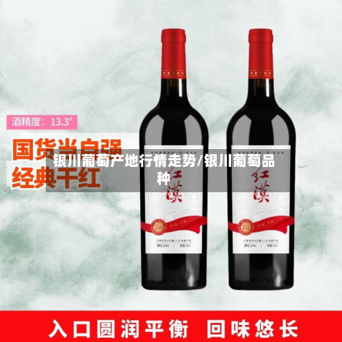 银川葡萄产地行情走势/银川葡萄品种