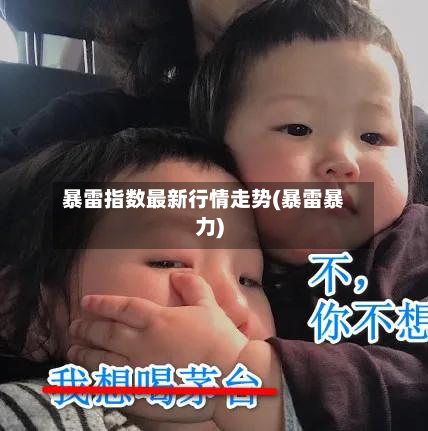暴雷指数最新行情走势(暴雷暴力)