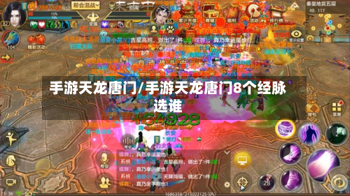 手游天龙唐门/手游天龙唐门8个经脉选谁-第2张图片