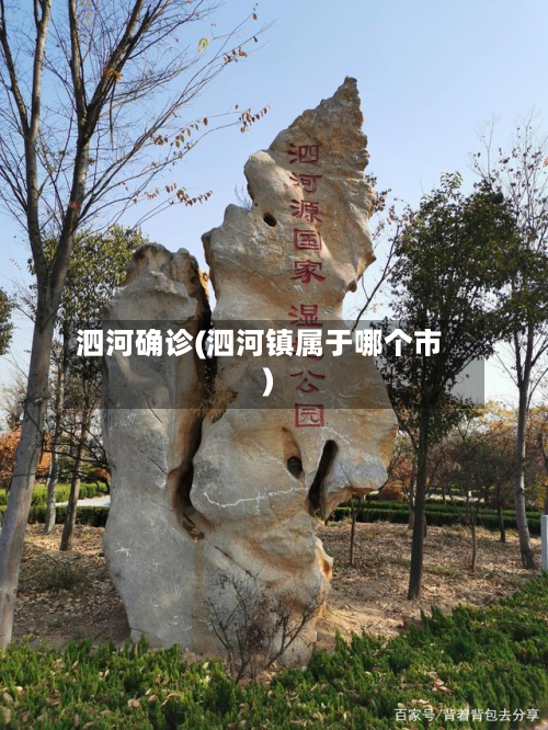 泗河确诊(泗河镇属于哪个市)-第3张图片
