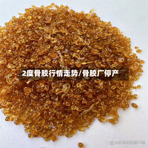 2度骨胶行情走势/骨胶厂停产-第2张图片