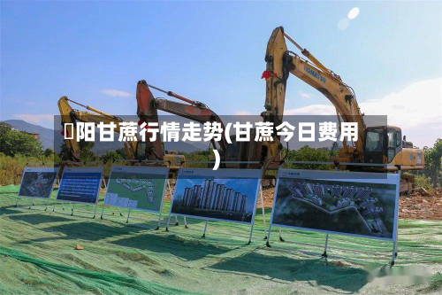 濛阳甘蔗行情走势(甘蔗今日费用)-第2张图片