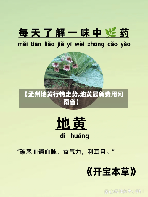 【孟州地黄行情走势,地黄最新费用河南省】