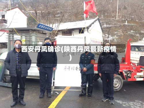 西安丹凤确诊(陕西丹凤最新疫情)