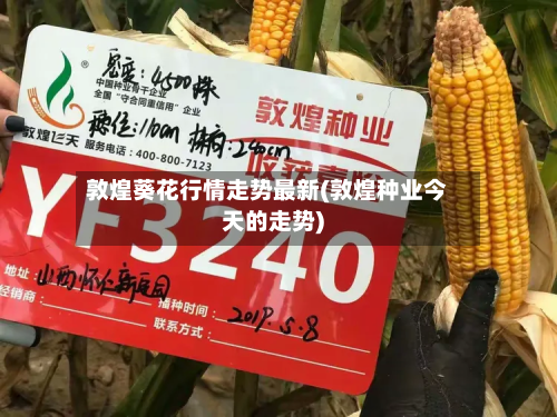 敦煌葵花行情走势最新(敦煌种业今天的走势)