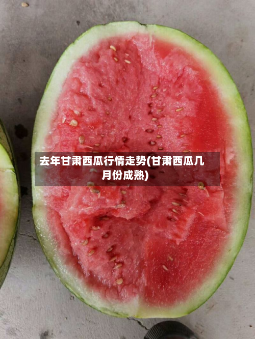 去年甘肃西瓜行情走势(甘肃西瓜几月份成熟)