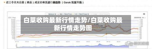 白菜收购最新行情走势/白菜收购最新行情走势图-第2张图片