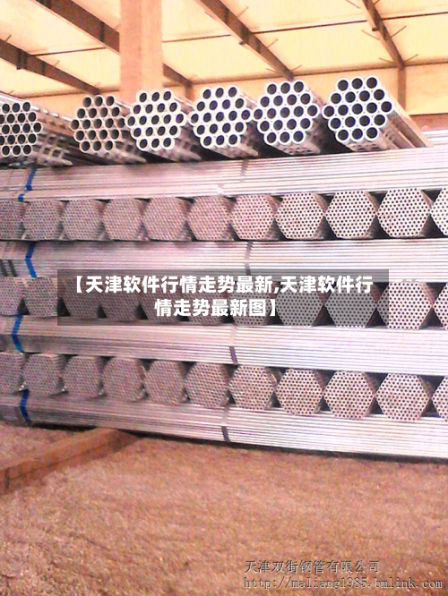 【天津软件行情走势最新,天津软件行情走势最新图】