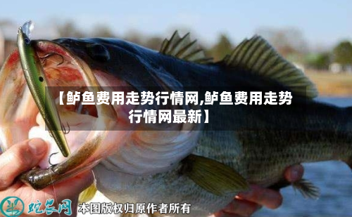 【鲈鱼费用走势行情网,鲈鱼费用走势行情网最新】
