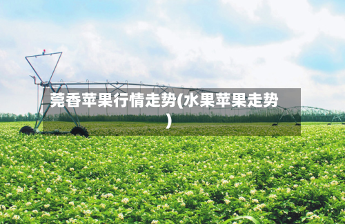 莞香苹果行情走势(水果苹果走势)-第2张图片