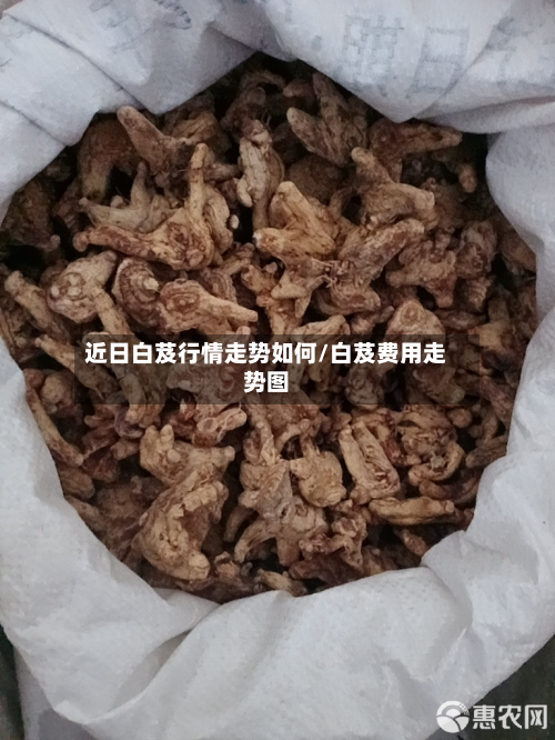 近日白芨行情走势如何/白芨费用走势图-第2张图片