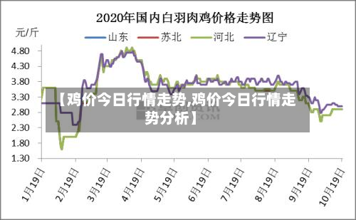 【鸡价今日行情走势,鸡价今日行情走势分析】-第3张图片