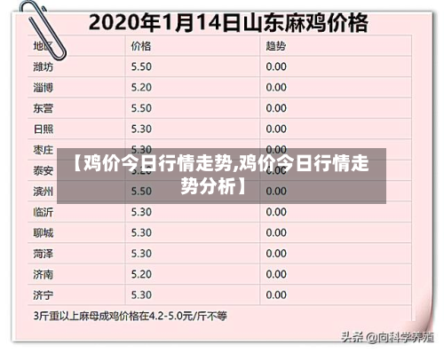 【鸡价今日行情走势,鸡价今日行情走势分析】