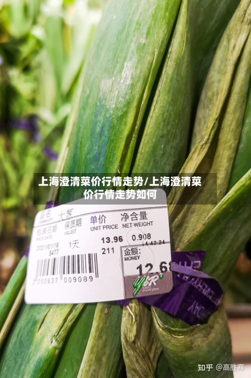 上海澄清菜价行情走势/上海澄清菜价行情走势如何-第2张图片