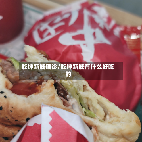 乾坤新城确诊/乾坤新城有什么好吃的-第3张图片