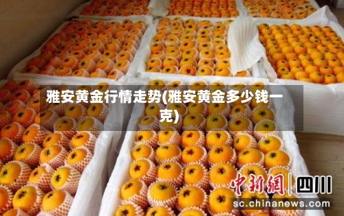 雅安黄金行情走势(雅安黄金多少钱一克)-第2张图片