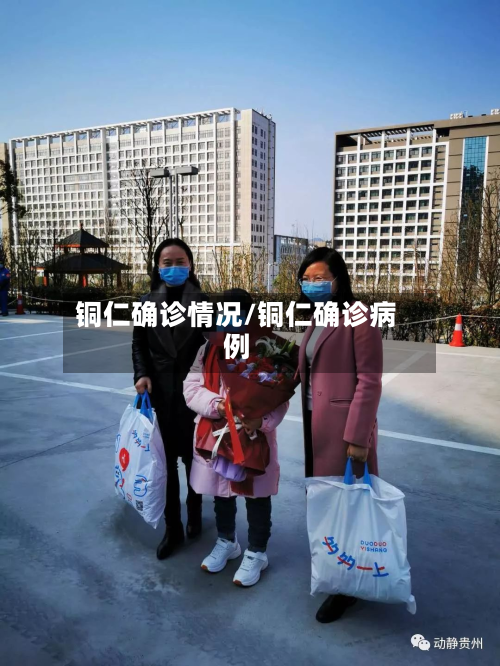 铜仁确诊情况/铜仁确诊病例-第2张图片