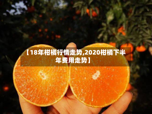 【18年柑橘行情走势,2020柑橘下半年费用走势】-第2张图片