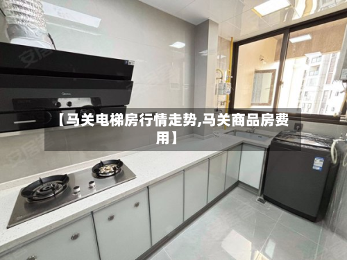 【马关电梯房行情走势,马关商品房费用】-第2张图片