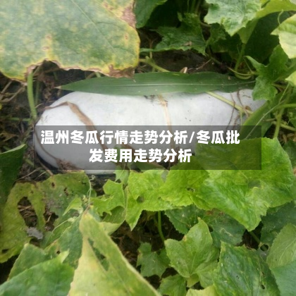 温州冬瓜行情走势分析/冬瓜批发费用走势分析-第2张图片