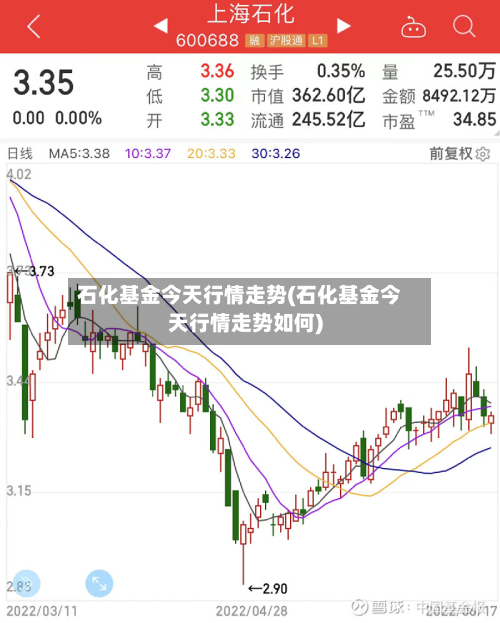 石化基金今天行情走势(石化基金今天行情走势如何)
