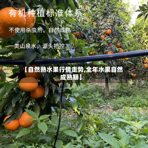 【自然熟水果行情走势,全年水果自然成熟期】