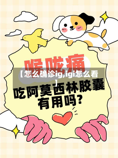 【怎么确诊ig,igi怎么看】