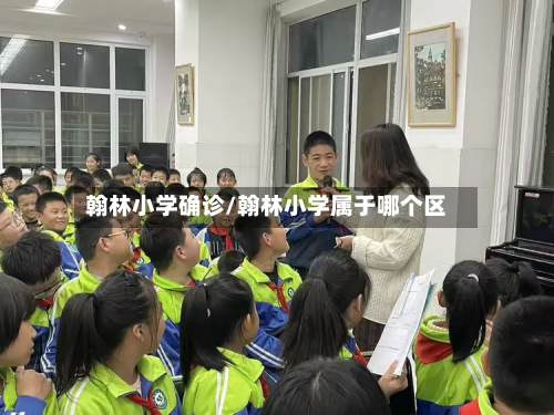 翰林小学确诊/翰林小学属于哪个区-第2张图片