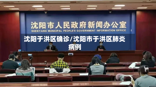 沈阳于洪区确诊/沈阳市于洪区肺炎病例-第3张图片