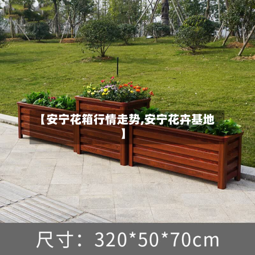 【安宁花箱行情走势,安宁花卉基地】-第3张图片