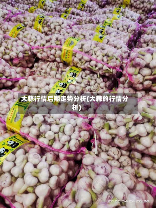 大蒜行情后期走势分析(大蒜的行情分析)
