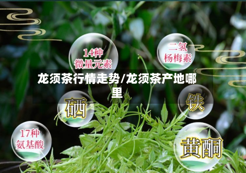 龙须茶行情走势/龙须茶产地哪里-第2张图片