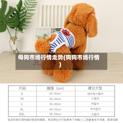 母狗市场行情走势(狗狗市场行情)-第2张图片