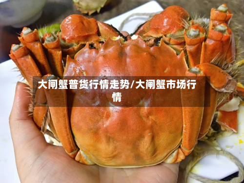 大闸蟹普货行情走势/大闸蟹市场行情-第3张图片