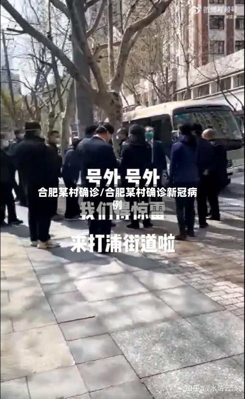 合肥某村确诊/合肥某村确诊新冠病例-第2张图片