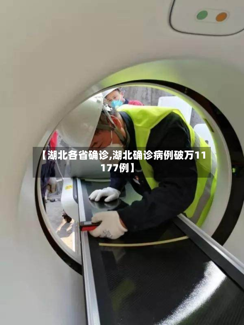 【湖北各省确诊,湖北确诊病例破万11177例】