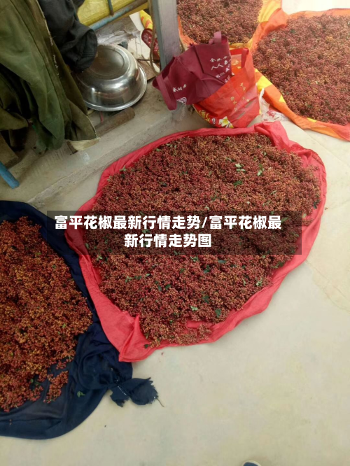富平花椒最新行情走势/富平花椒最新行情走势图-第2张图片