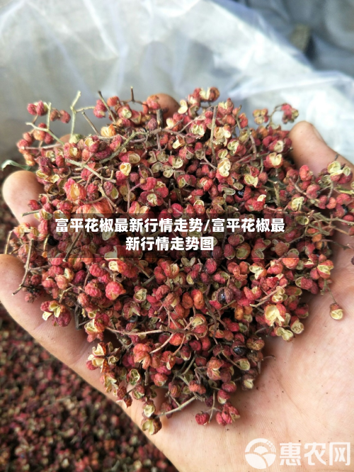 富平花椒最新行情走势/富平花椒最新行情走势图