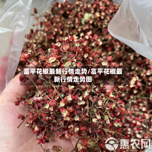 富平花椒最新行情走势/富平花椒最新行情走势图-第3张图片