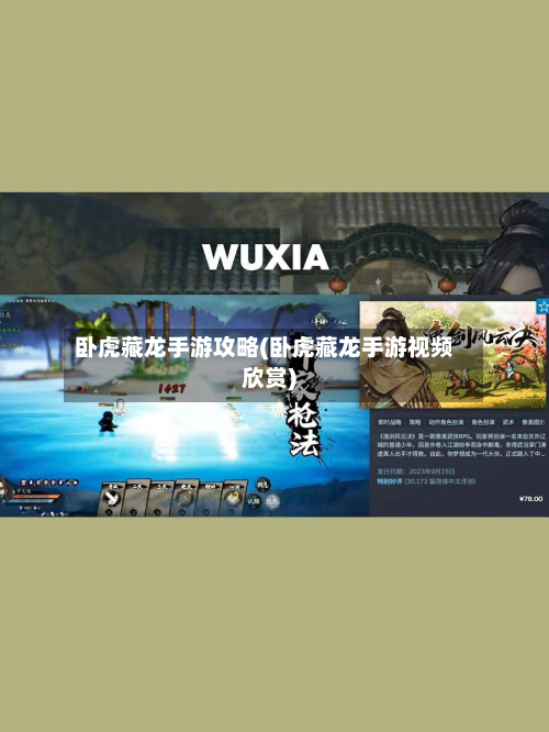 卧虎藏龙手游攻略(卧虎藏龙手游视频欣赏)-第2张图片