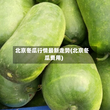 北京冬瓜行情最新走势(北京冬瓜费用)