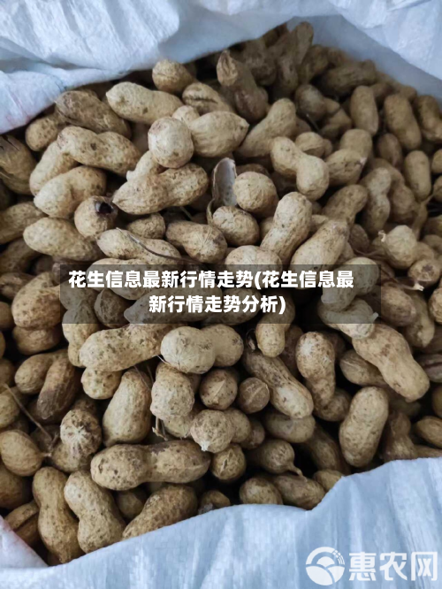 花生信息最新行情走势(花生信息最新行情走势分析)-第3张图片