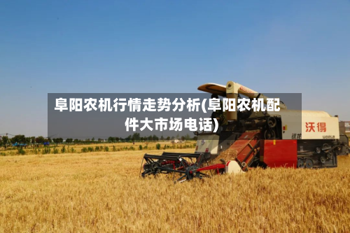 阜阳农机行情走势分析(阜阳农机配件大市场电话)-第3张图片