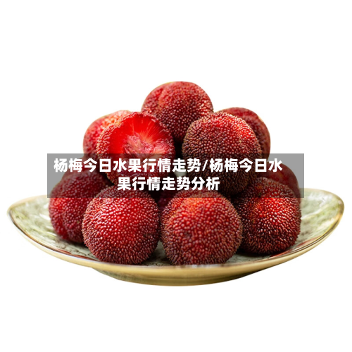 杨梅今日水果行情走势/杨梅今日水果行情走势分析-第3张图片