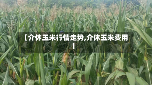【介休玉米行情走势,介休玉米费用】-第2张图片