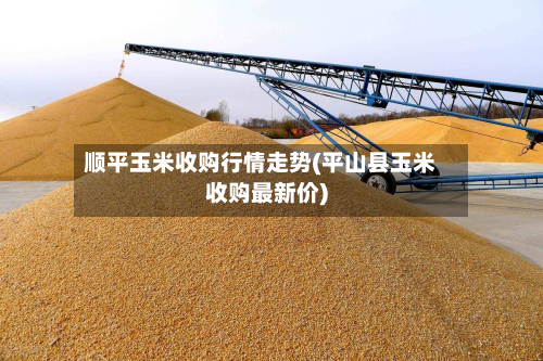 顺平玉米收购行情走势(平山县玉米收购最新价)