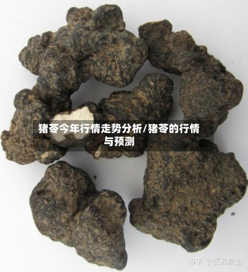 猪苓今年行情走势分析/猪苓的行情与预测-第2张图片